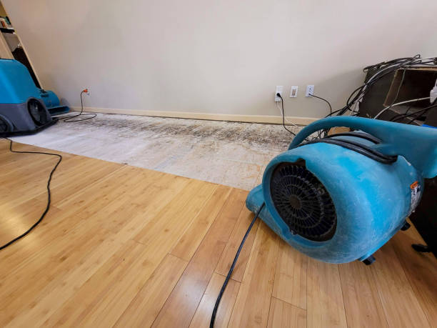 Professional Water Extraction technician working in Stilwell, KS